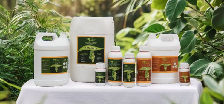 Nature Neem products