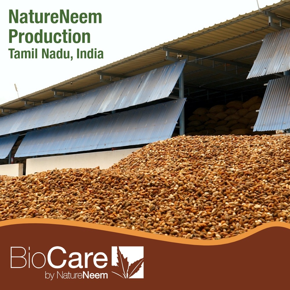BioCare by Nature Neem Production site - Tamil Nadu, India