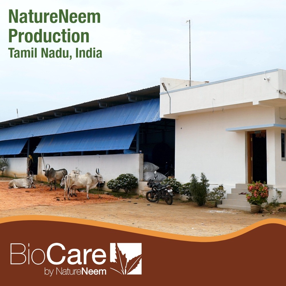 Nature Neem production center in Tamil Nadu