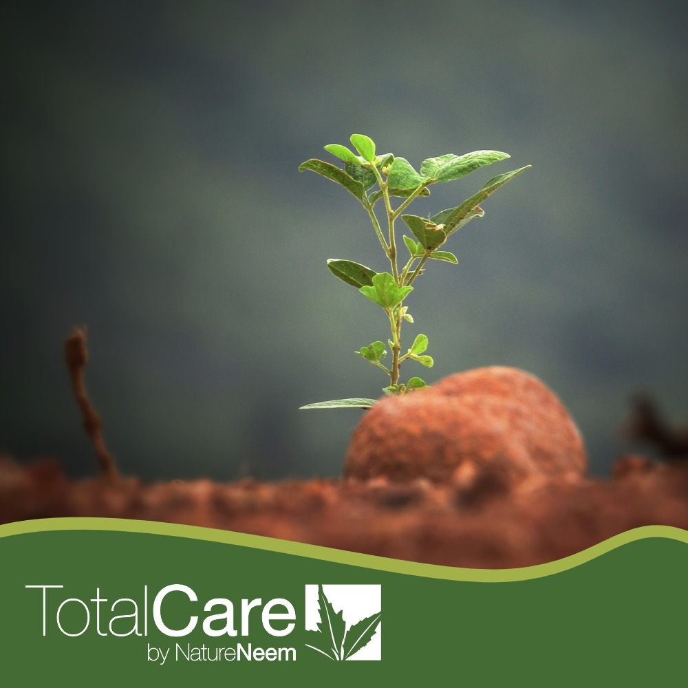 TotalCare by NatureNeem : Aceite de neem soluble en agua para plantas jardines y más agricultura