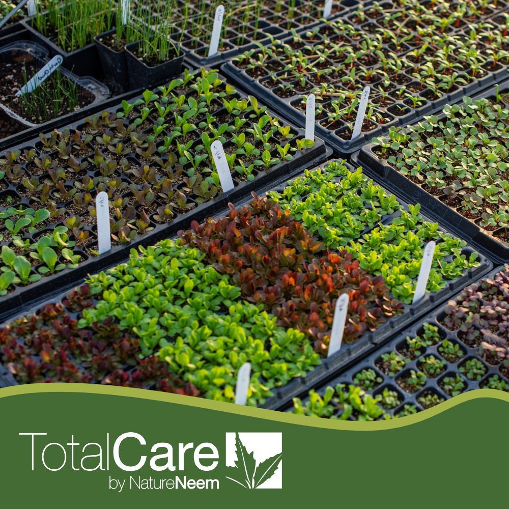 TotalCare by NatureNeem : Aceite de neem soluble en agua para plantas