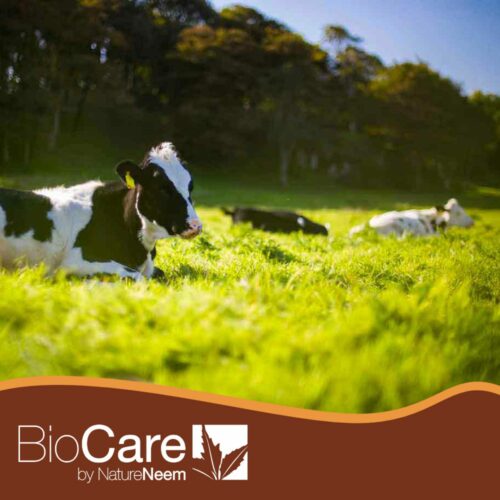 BioCare pour les bovins, les chevaux, les porcs, les lapins et autres animaux