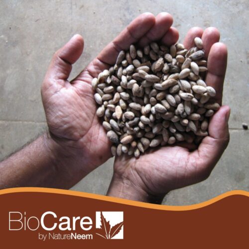 BioCare - immagine 6