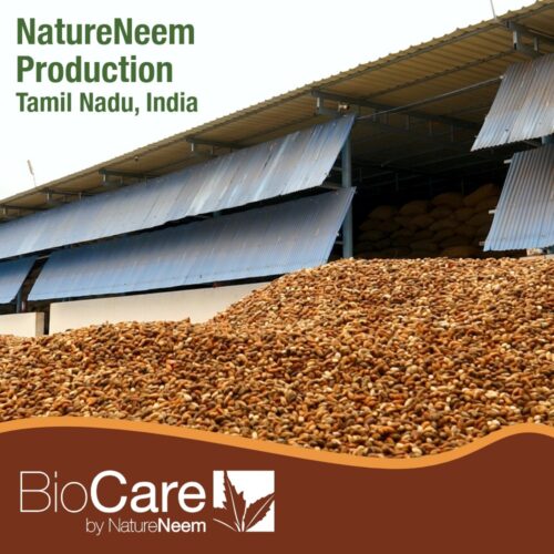 Centro de producción de Neem de BioCare by Nature - Tamil Nadu, India