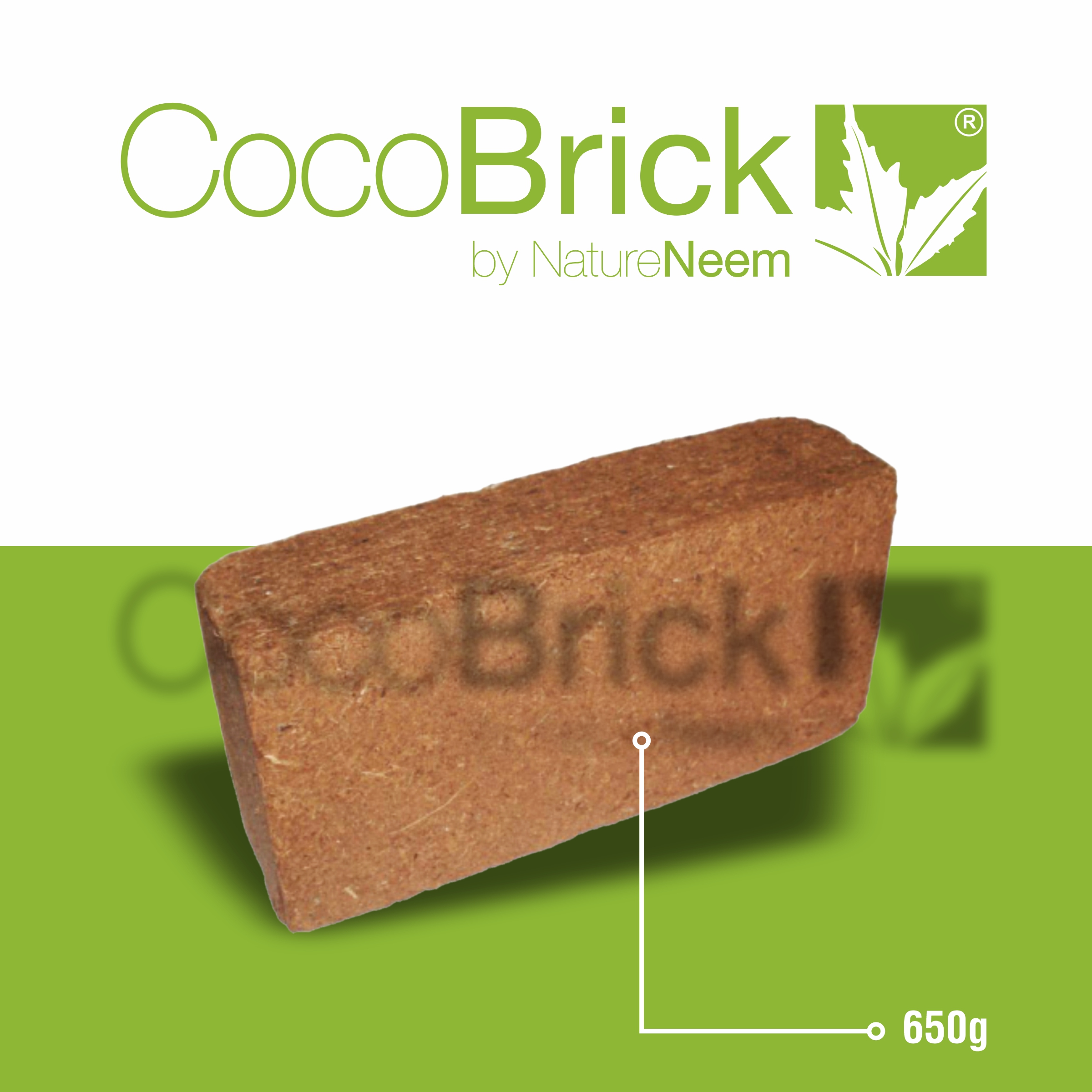 Bloques de médula de coco 650 gms