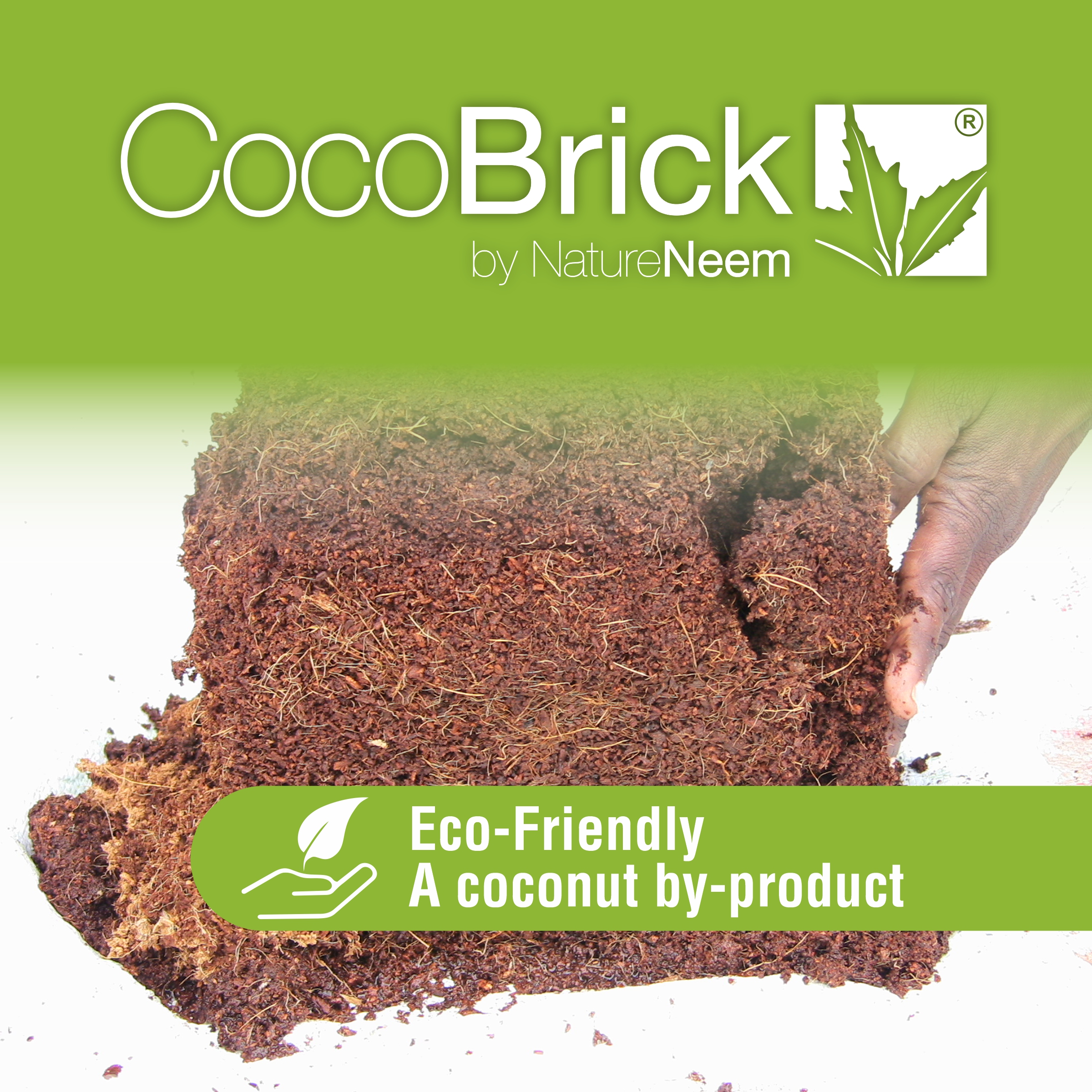 médula de coco sin comprimir