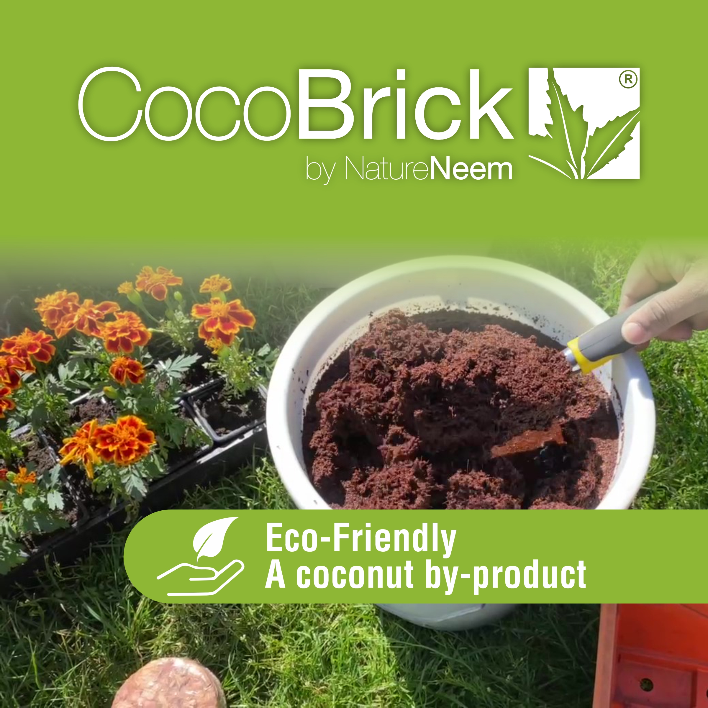 cocopith sin comprimir