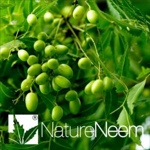 Neem-produkter