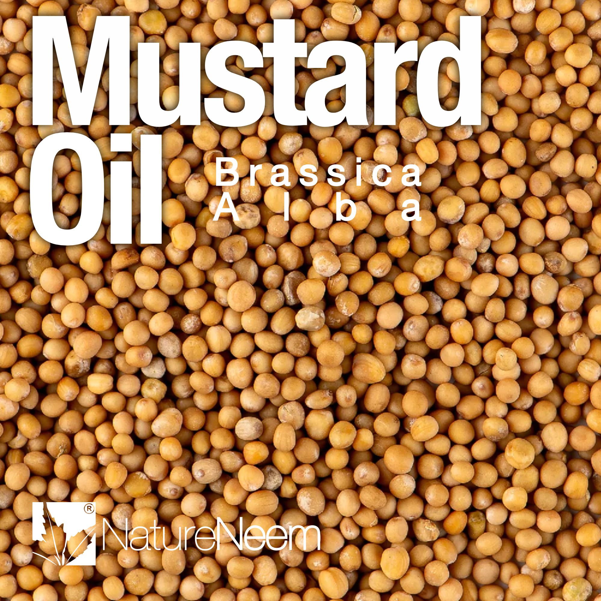 Brassica Alba de la Naturaleza Aceite de Neem de Semillas de Mostaza Amarilla