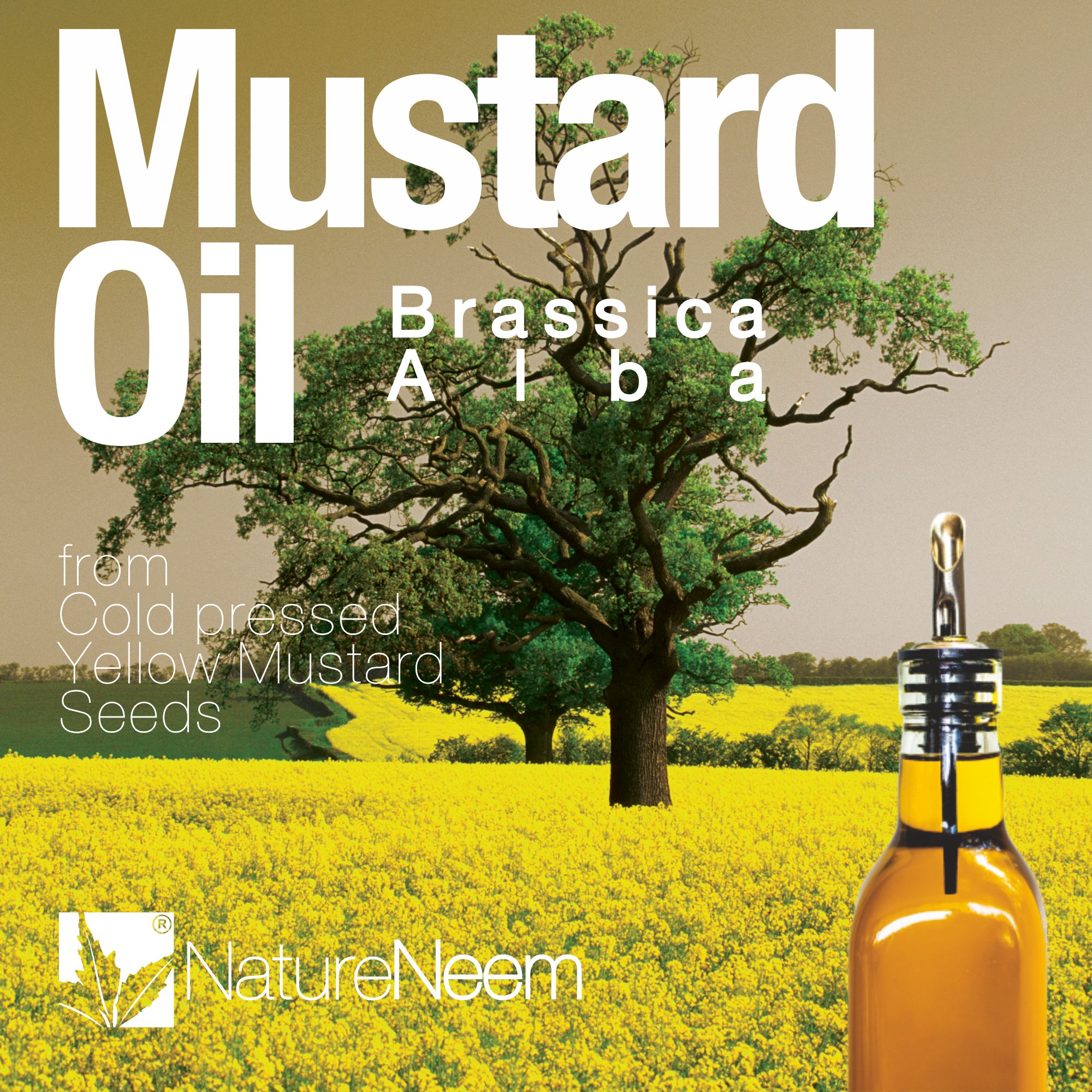 Aceite de Semillas de Mostaza Amarilla Brassica Alba de la Naturaleza Neem