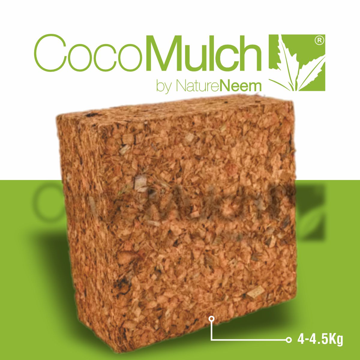 Coco Mulch - Bild 7
