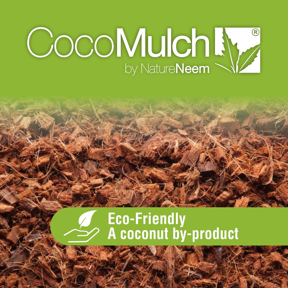 Coco Mulch - Bild 4