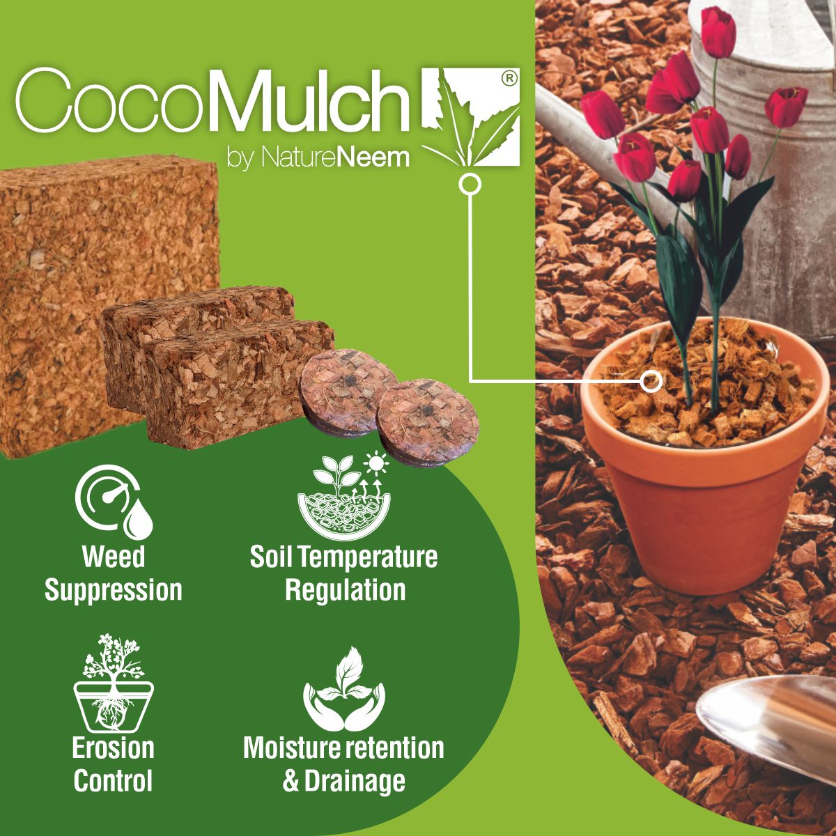 Coco Mulch - Bild 3