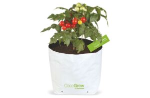CocoGrow by NatureNeem