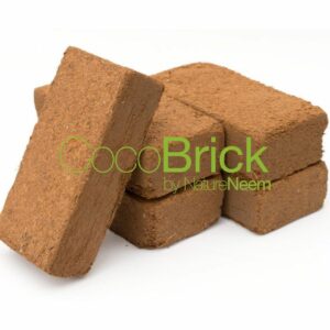 Coco Brick