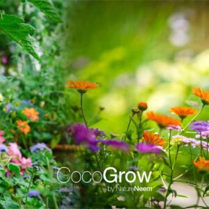Coco Grow